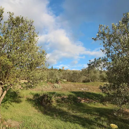 Wonderful Near With Terrace Tatil Evi