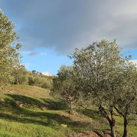 Wonderful Near With Terrace